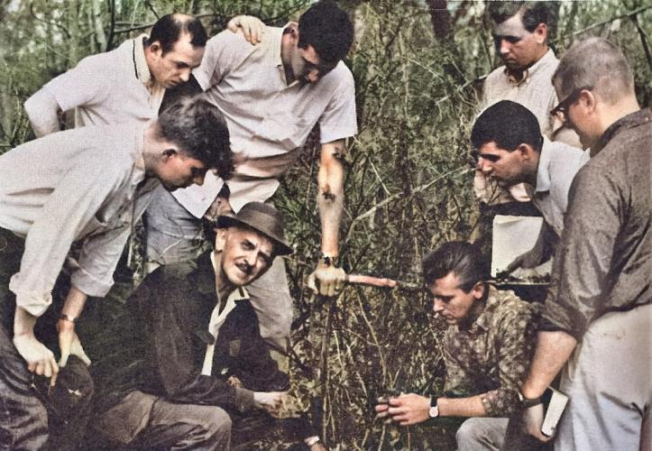 1962 dr naylor &amp; science club students looking for plants